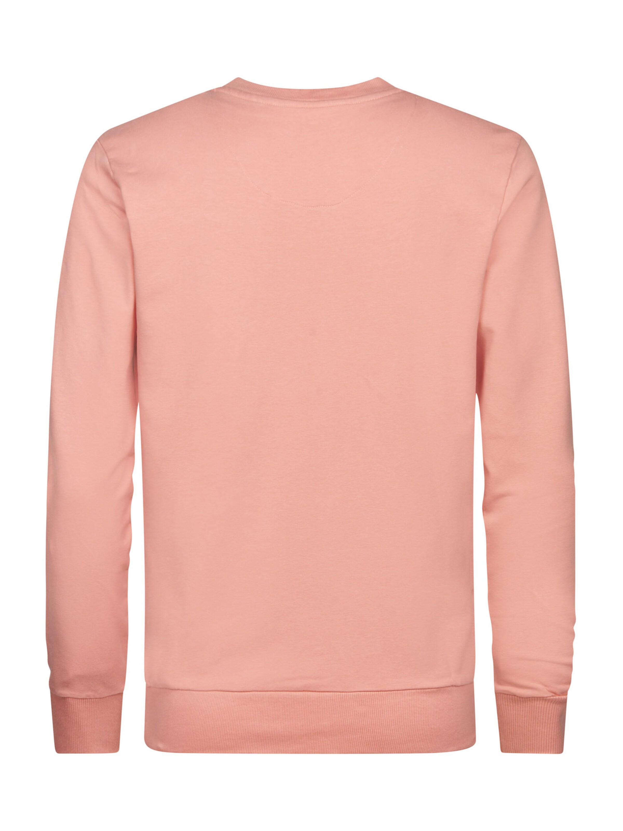 Petrol Industries Sweatshirt i rosa