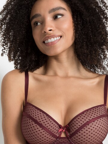 LASCANA T-shirt Bra in Purple