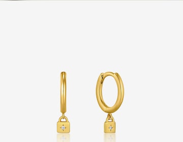 ANIA HAIE Earrings in Gold: front