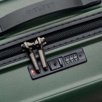 Delsey Paris Cart in Green