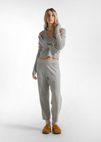Regular Pantalon DEHA en gris