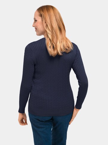 Goldner Pullover in Blau