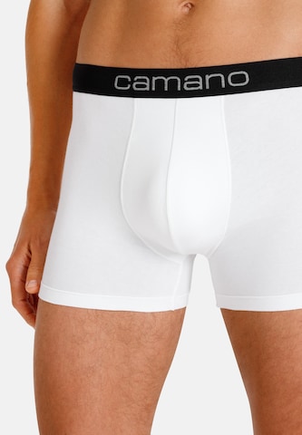 camano Boxershorts in Grijs