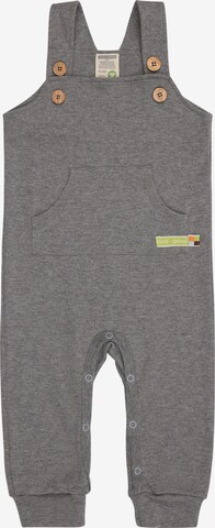 loud + proud Dungarees in Grey: front