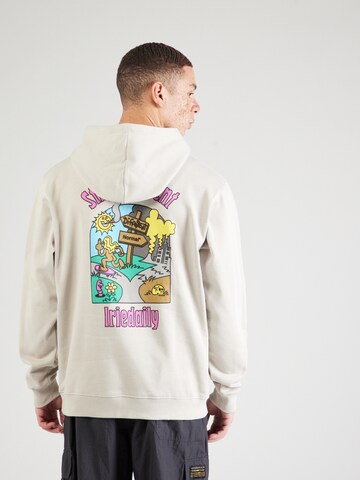Iriedaily Sweatshirt 'Differ Normal' i grå: framsida