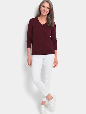 Goldner Sweater in Red