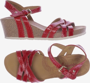PANAMA JACK Sandals & High-Heeled Sandals in 40 in Red: front