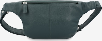 Picard Fanny Pack 'Luis' in Green
