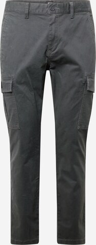 Tommy Jeans Cargo Pants 'AUSTIN' in Grey: front