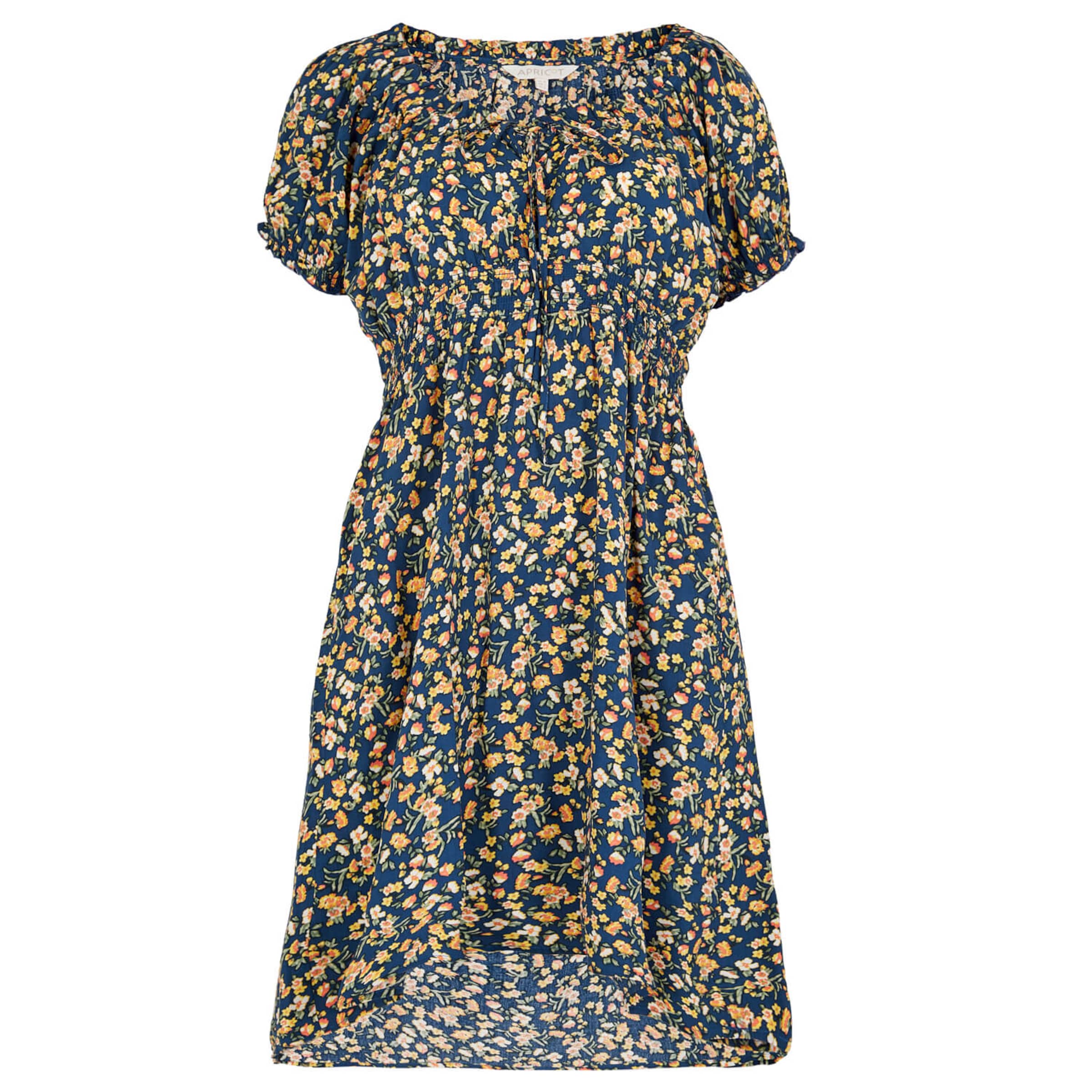 Robe Apricot en bleu : devant