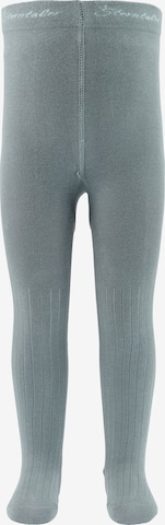 STERNTALER Strumpfhose in Grün: Vorderseite