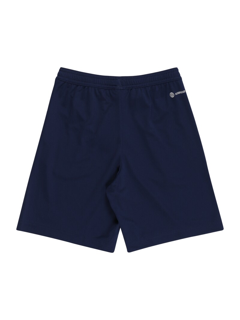 Clothing Shorts Navy