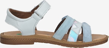 Bama Sandals in Blue