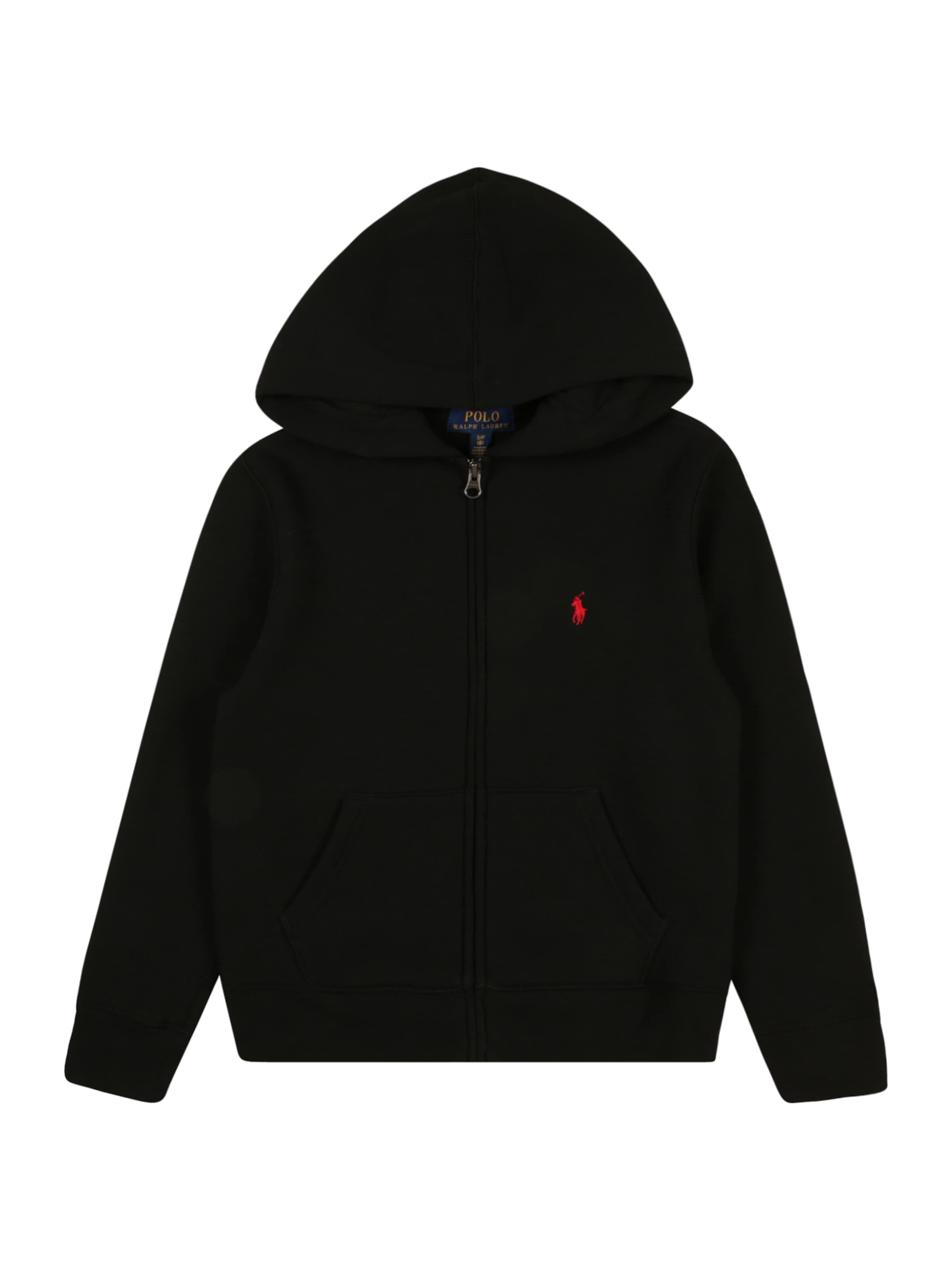 Polo Ralph Lauren Sweatshirt in Black: front