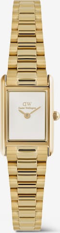 Daniel Wellington Analoguhr in Gold: Vorderseite