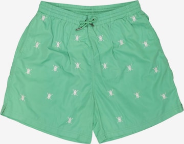Daily Paper Shorts 33 in Grün: Vorderseite