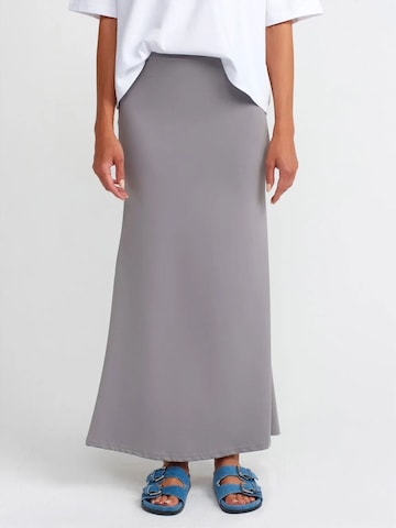 Dilvin Skirt in Grey