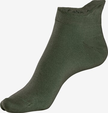 LASCANA Socks in Green