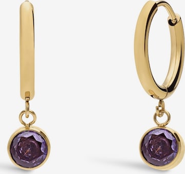 Lucardi Ohrringe in Gold: Vorderseite