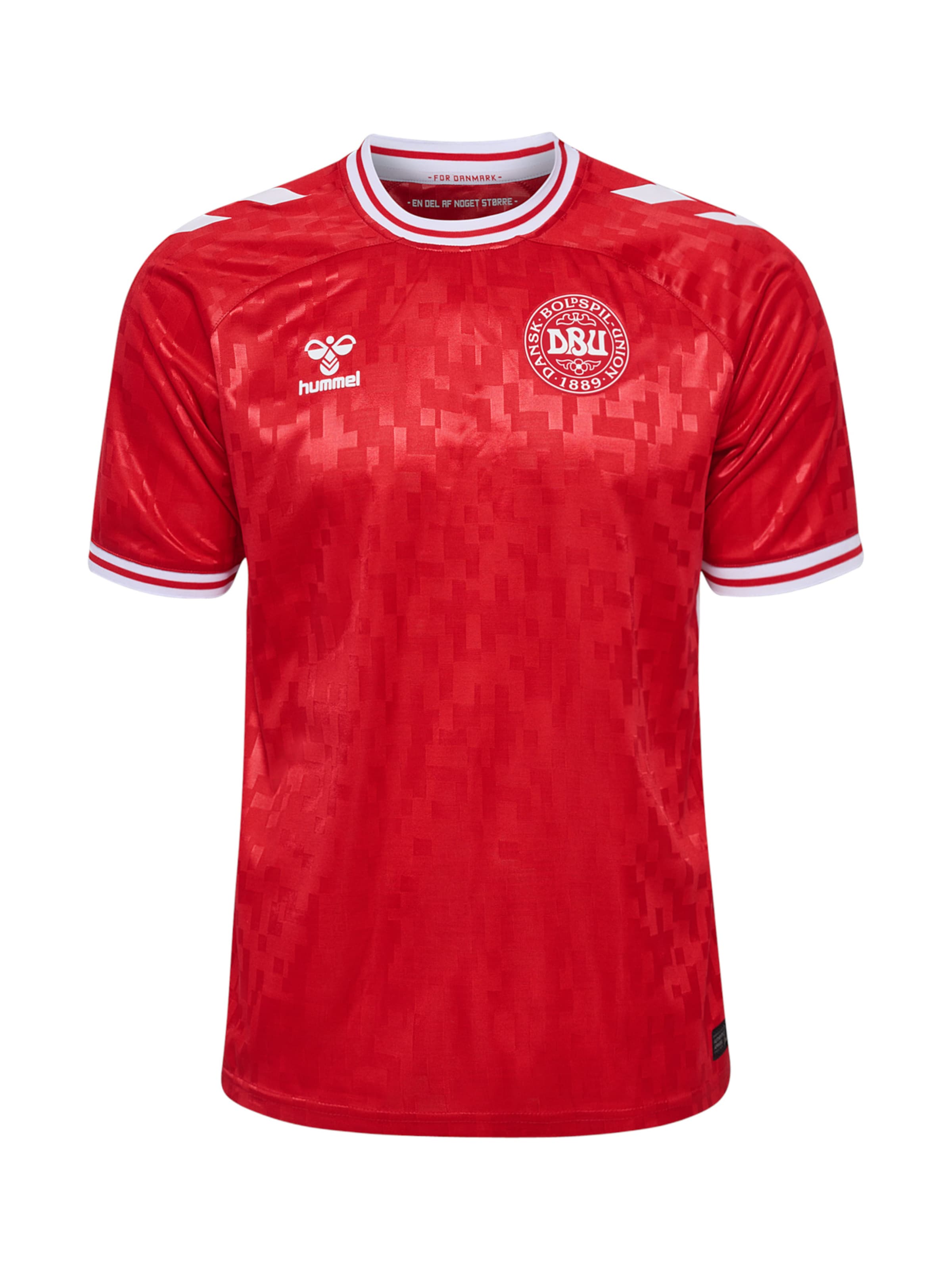 Hummel Trikot 'Dänemark 2024 Home' in Rot: Vorderseite