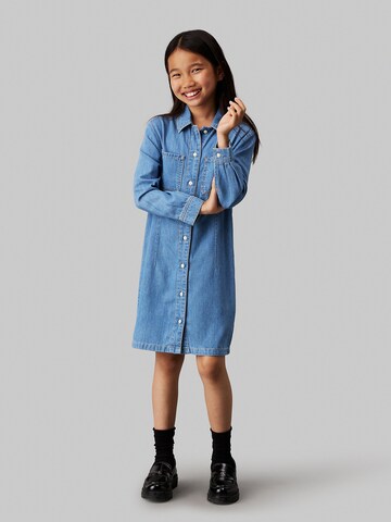 Calvin Klein Jeans Dress in Blue