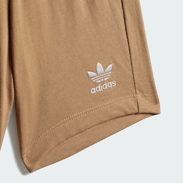 Set ADIDAS ORIGINALS en marron