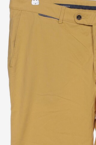 Walbusch Pants in 27 in Yellow