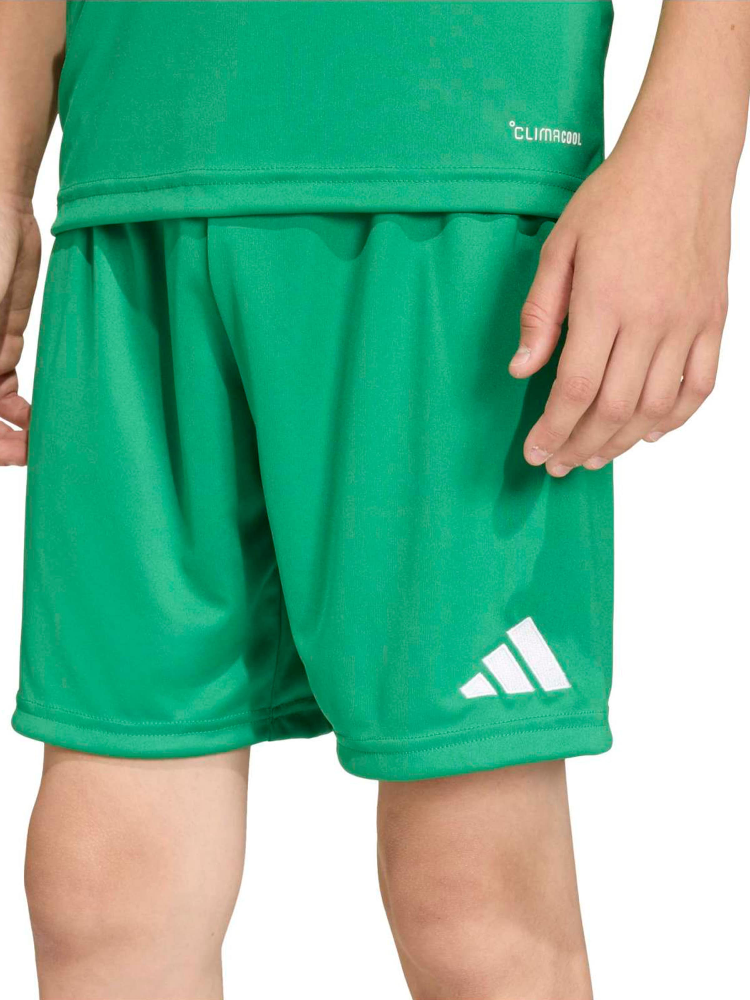 Regular Pantalon de sport 'ENT26' ADIDAS PERFORMANCE en vert