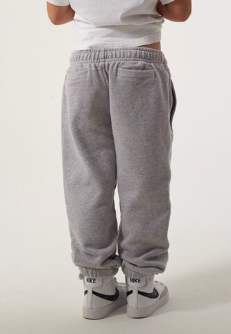 THAT GORILLA BRAND Regular Pants in Grey