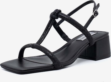 STEVE MADDEN Sandalen met riem in Zwart: voorkant