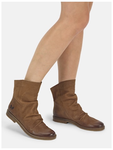 Bottines FELMINI en marron : devant