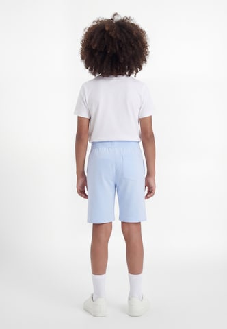 Regular Pantaloni sport de la NIKE pe albastru: spate
