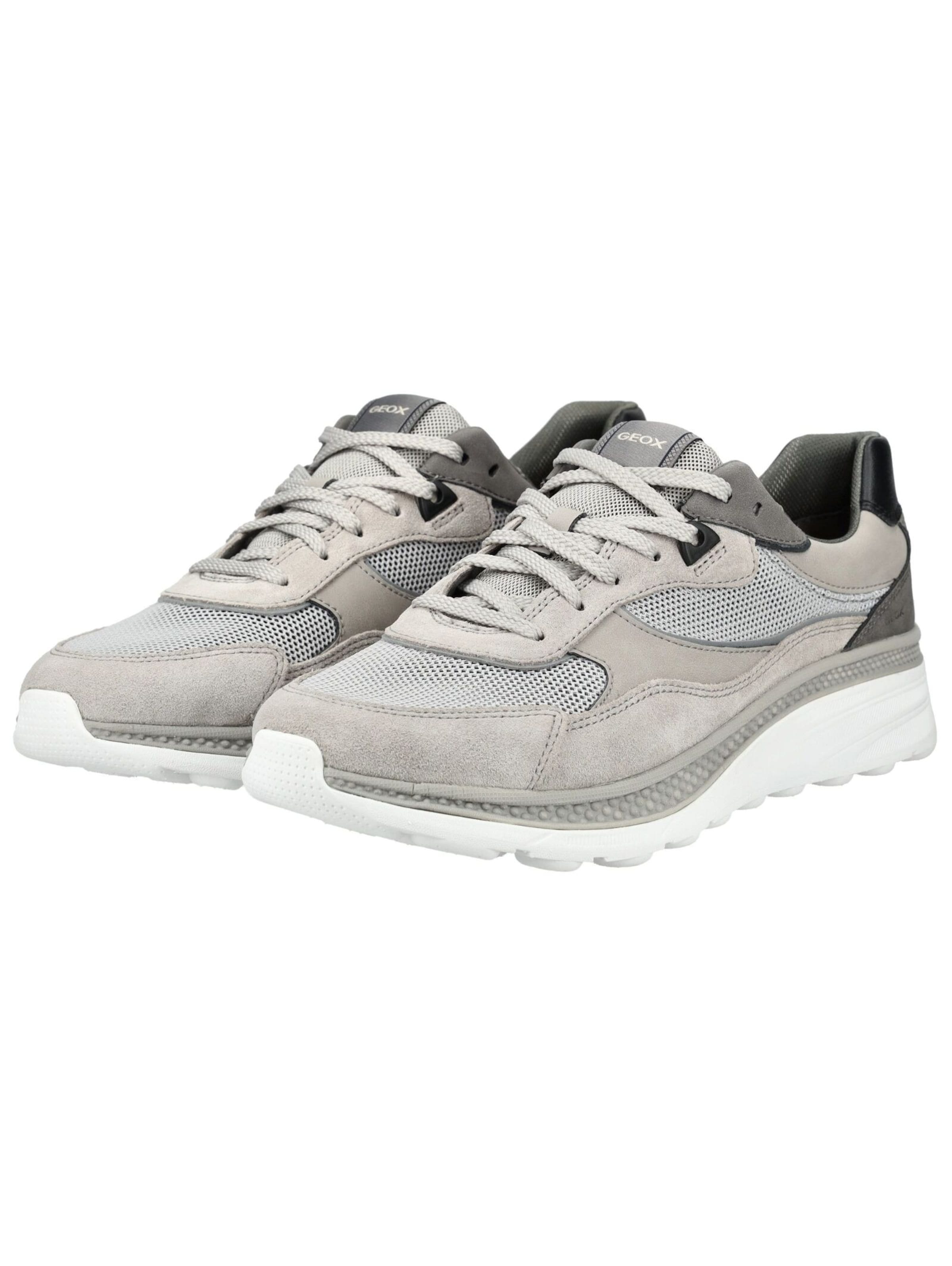 Sneaker bassa di GEOX in grigio