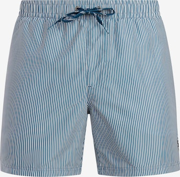 Shorts de bain 'PRTMarama' PROTEST en bleu : devant
