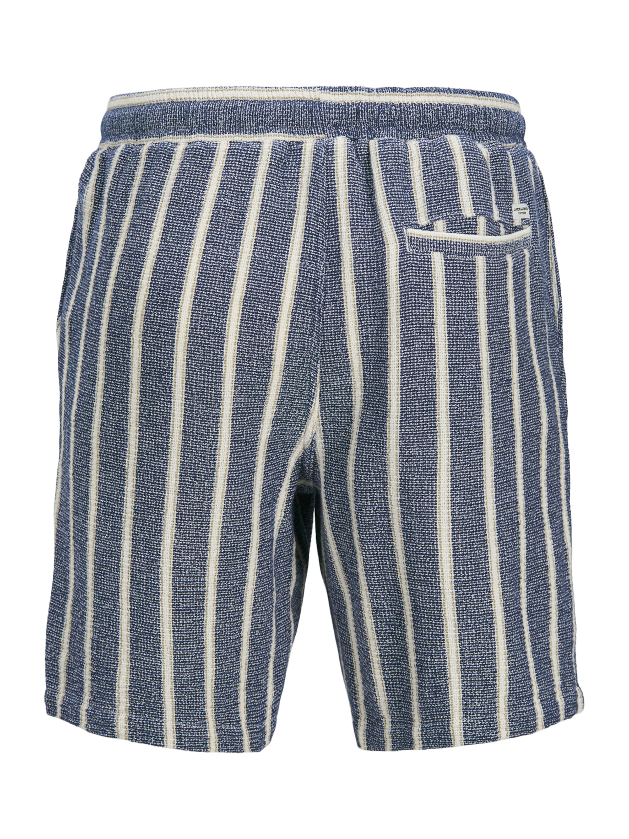 Loosefit Pantalon 'JPSTAiden' Jack & Jones Plus en bleu