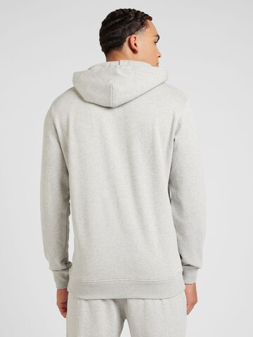 SCOTCH & SODA Sweatshirt i grå