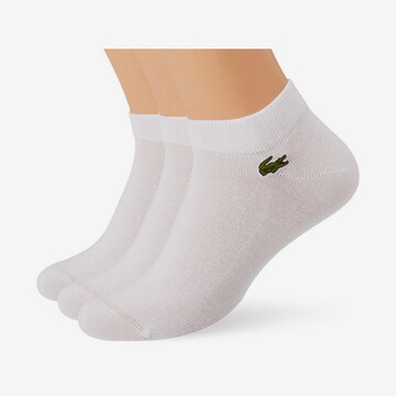 Lacoste Sport Sportsocken in Weiß