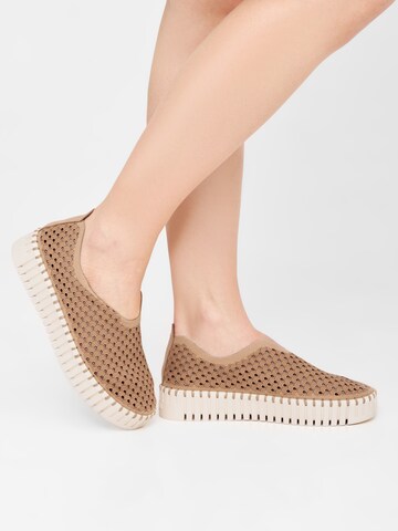 ILSE JACOBSEN Slipper in Braun: Vorderseite