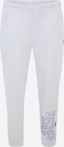 Tapered Pantaloni 'Joggers ' di ADIDAS ORIGINALS in grigio: frontale