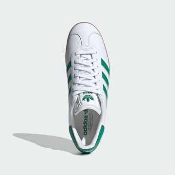 ADIDAS ORIGINALS Sneaker low 'Gazelle' i hvid