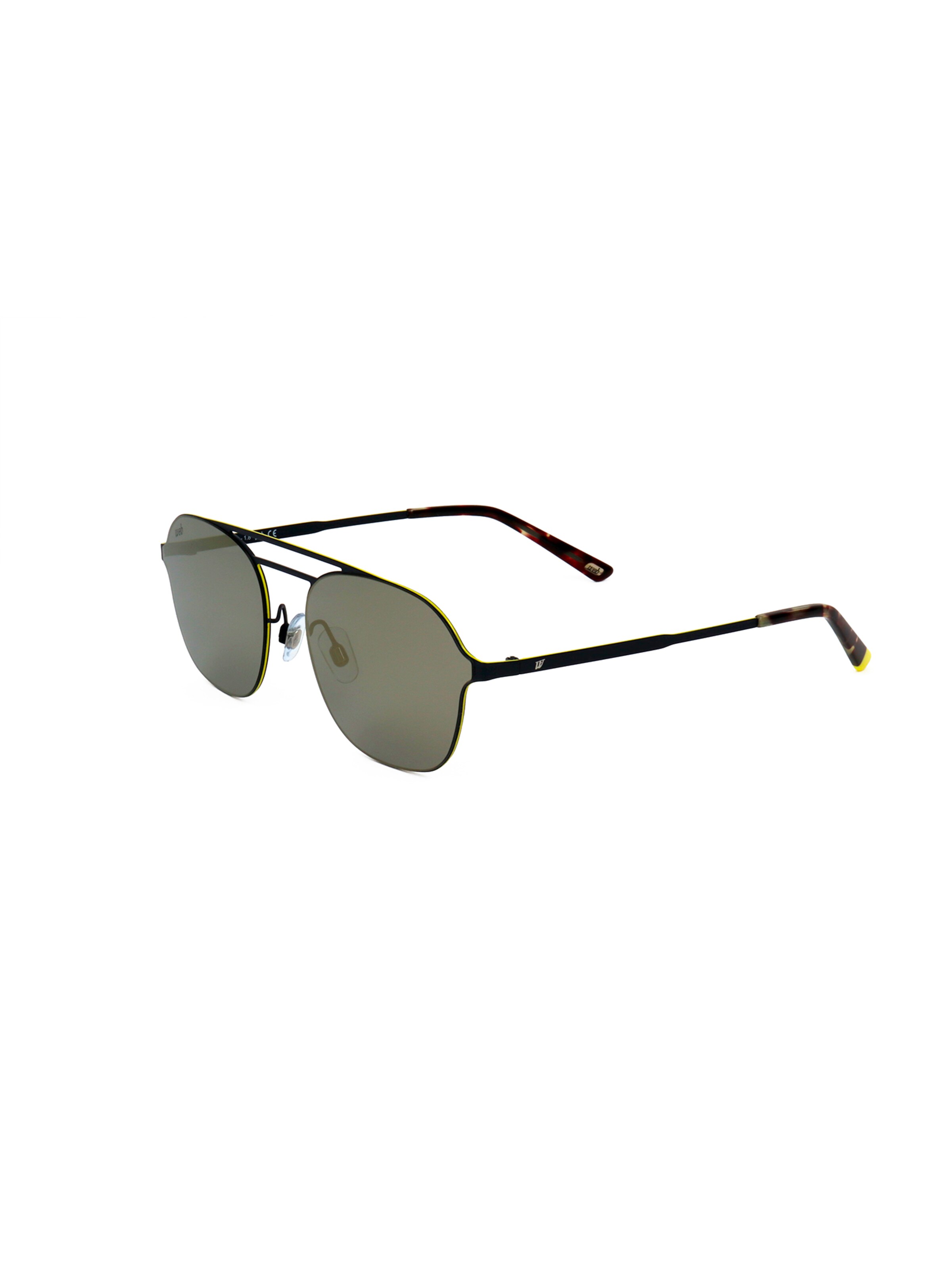 Occhiali da sole 'WE0248' di Web Eyewear in marrone: frontale