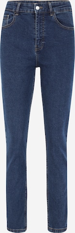 Denim Project Jeans 'WIDA' in Blue: front