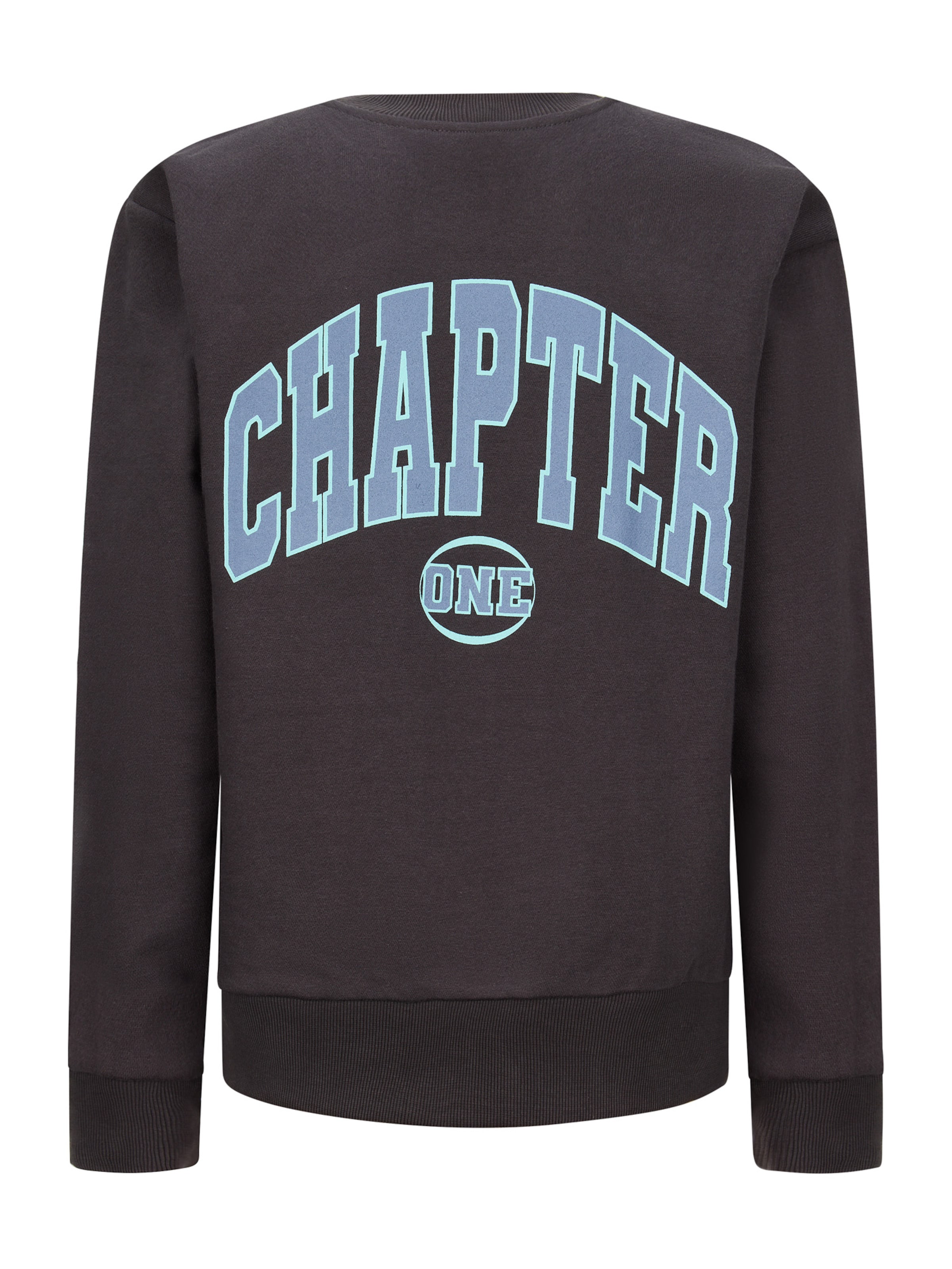 Retour Jeans Свитшот 'Joshua' в Коричневый