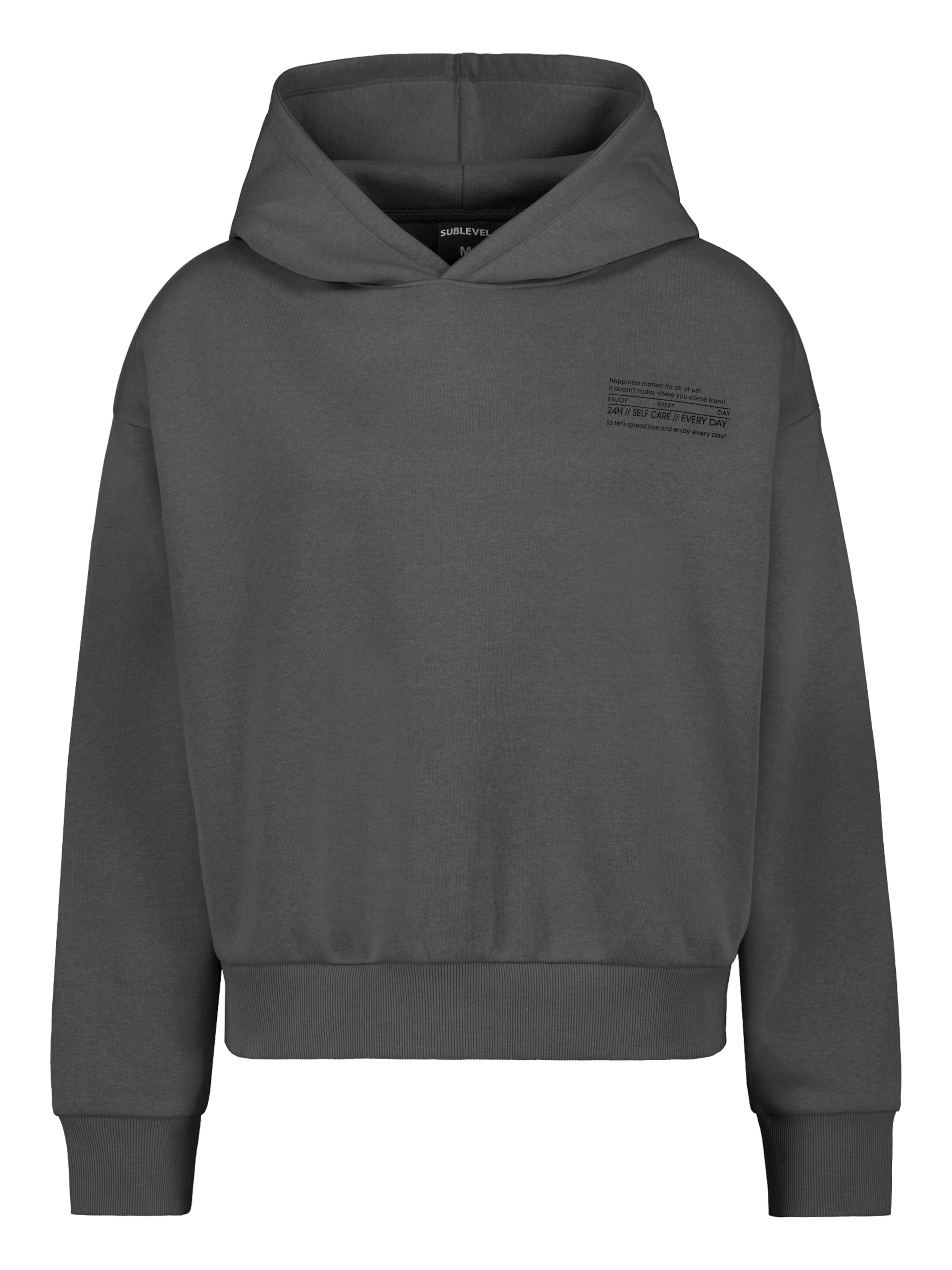 Sublevel Sweatshirt in Grijs: voorkant