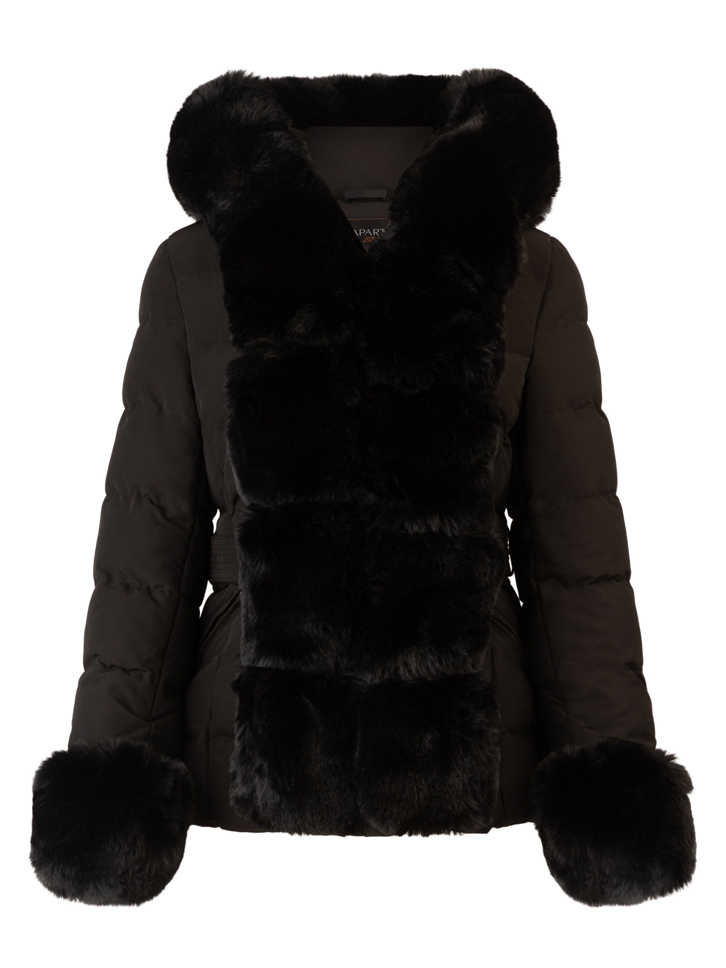 APART Winterjacke in Schwarz: Vorderseite