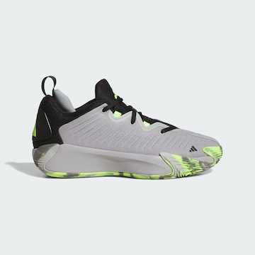 Chaussure de sport 'Initiation' ADIDAS PERFORMANCE en gris