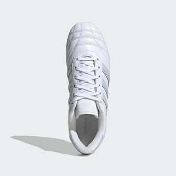 ADIDAS ORIGINALS Низкие кроссовки 'Taekwondo' в Белый