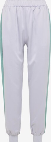 RISA Pants 'Edle' in Grey: front