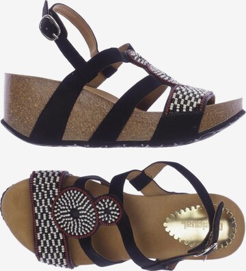 Desigual Sandals & High-Heeled Sandals in 37 in Black: front