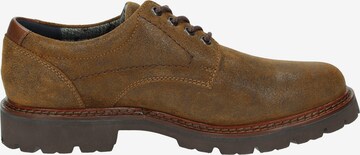 SIOUX Lace-Up Shoes 'Adalrik-703-TEX' in Brown